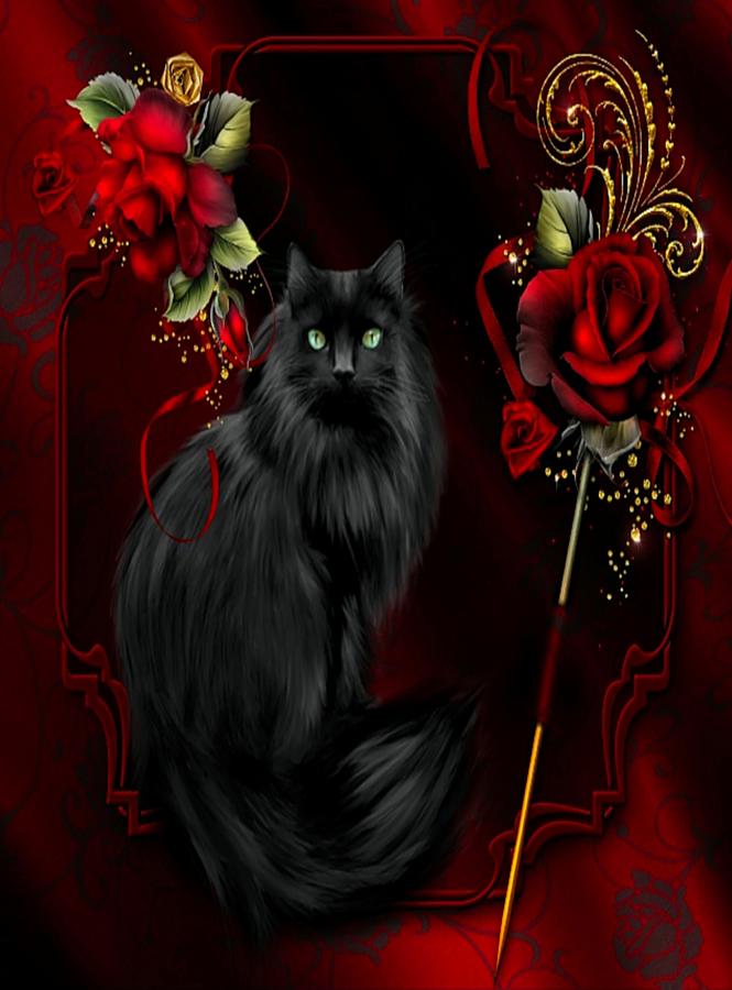 Rose Photograph - Black Cat And Roses by Gayle Berry