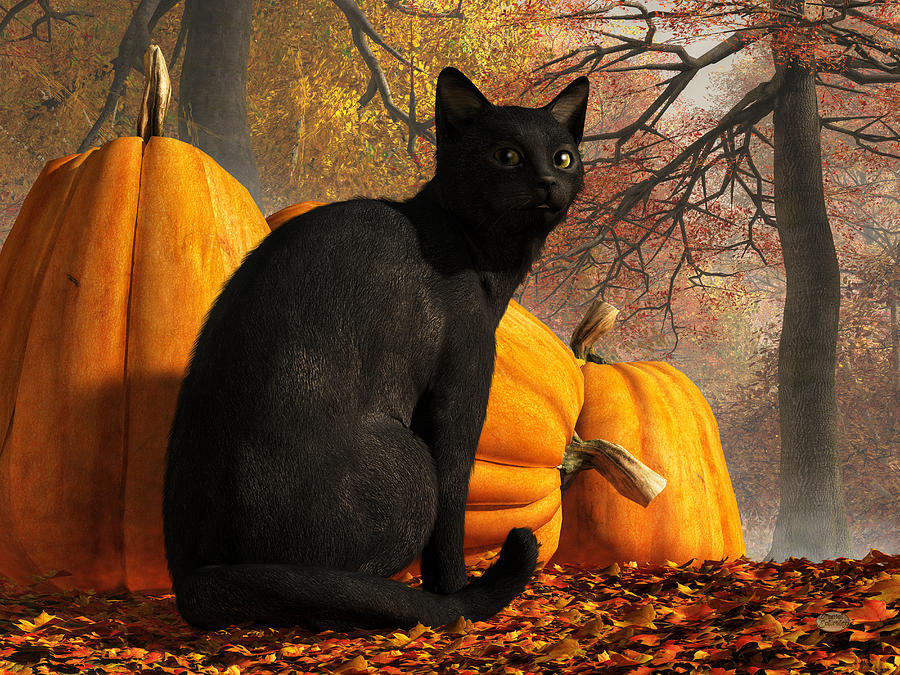 Black Cat At Halloween Digital Art by Daniel Eskridge