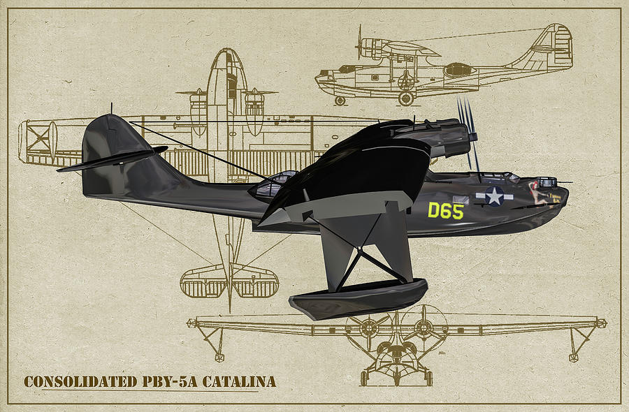 Consolidated Pby-5a Catalina Digital Art - Black Cat Catalina - Profile Art by Tommy Anderson