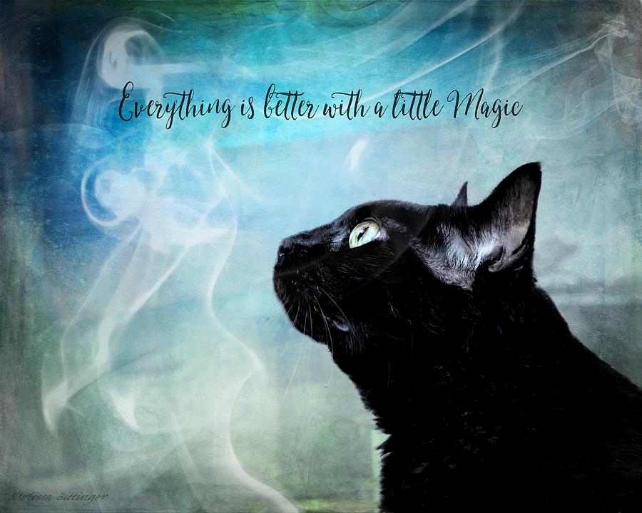 Black Cat Feline Magic Photograph by Melissa Bittinger