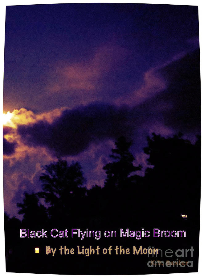Black Cat Flying by the Light of the Moon Photograph by Kimberlee Baxter