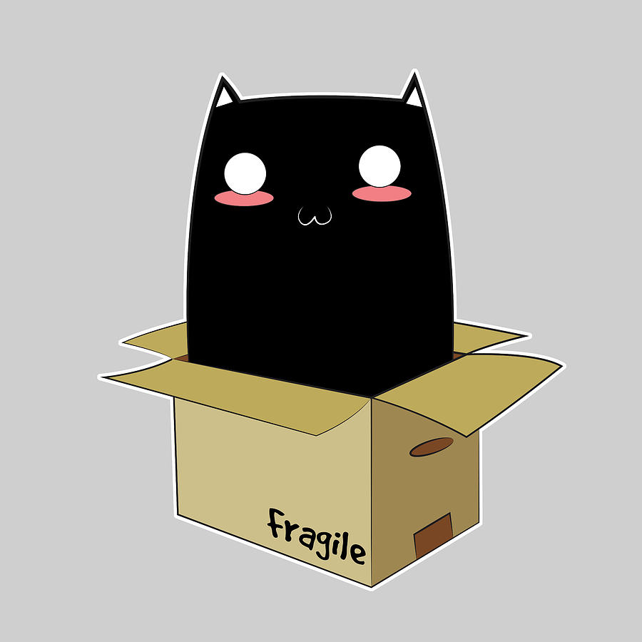 Christmas Digital Art - Black Cat in a Box by Catifornia Shop