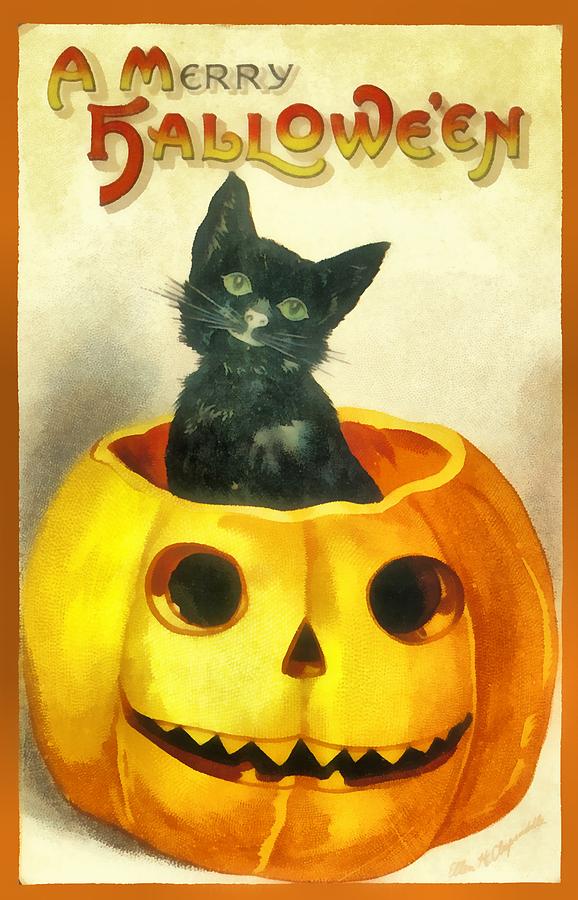 Black Cat In A Large Pumpkin Photograph by Ellon Clapsaddle