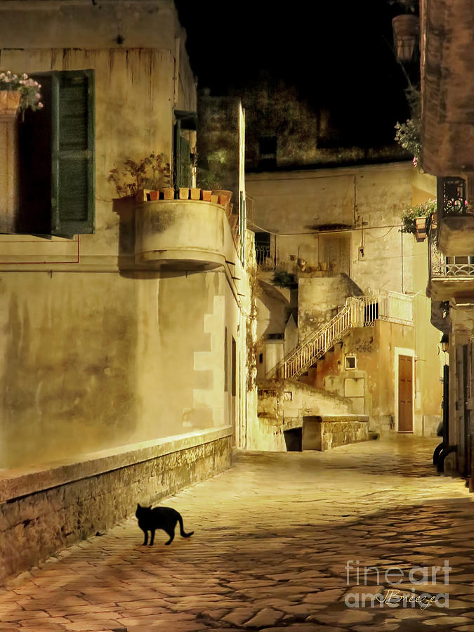 Silent Paws in Matera.Italy Photograph by Jennie Breeze