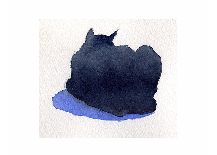 Black Cat by James Faecke Black Cat by James Faecke