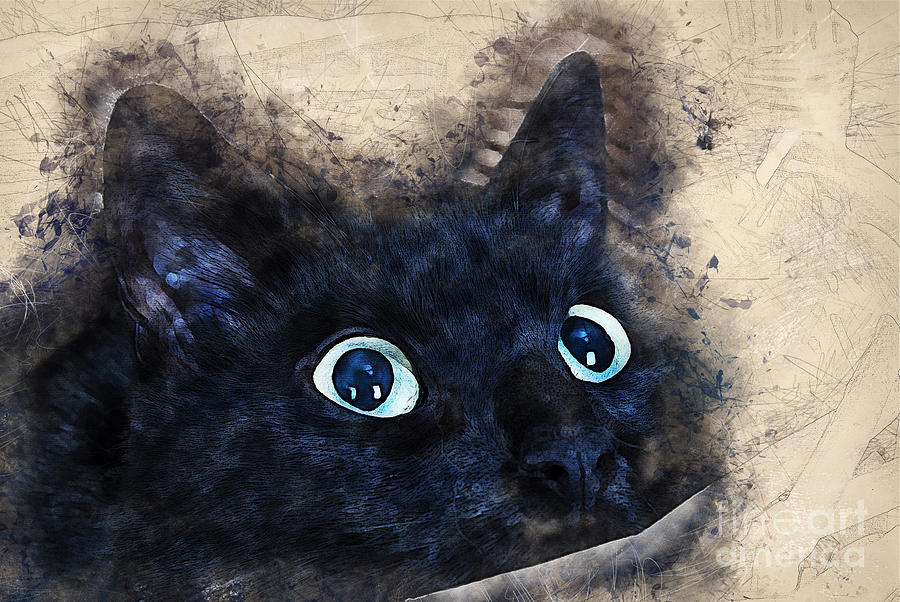 Black cat Digital Art by Justyna Jaszke JBJart