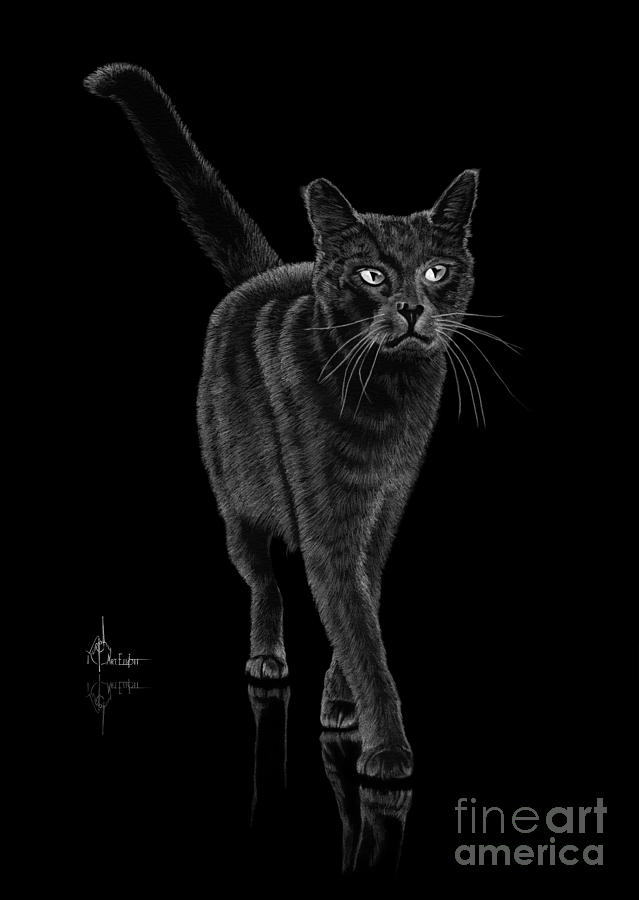 Black Cat Drawing by Murphy Elliott Pixels