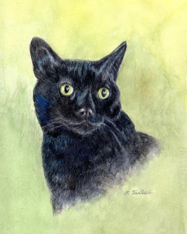 Black Cat Portrait Painting by Phyllis Tarlow - Fine Art America