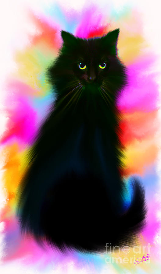 Black Cat Rainbow Sky Painting by Nick Gustafson