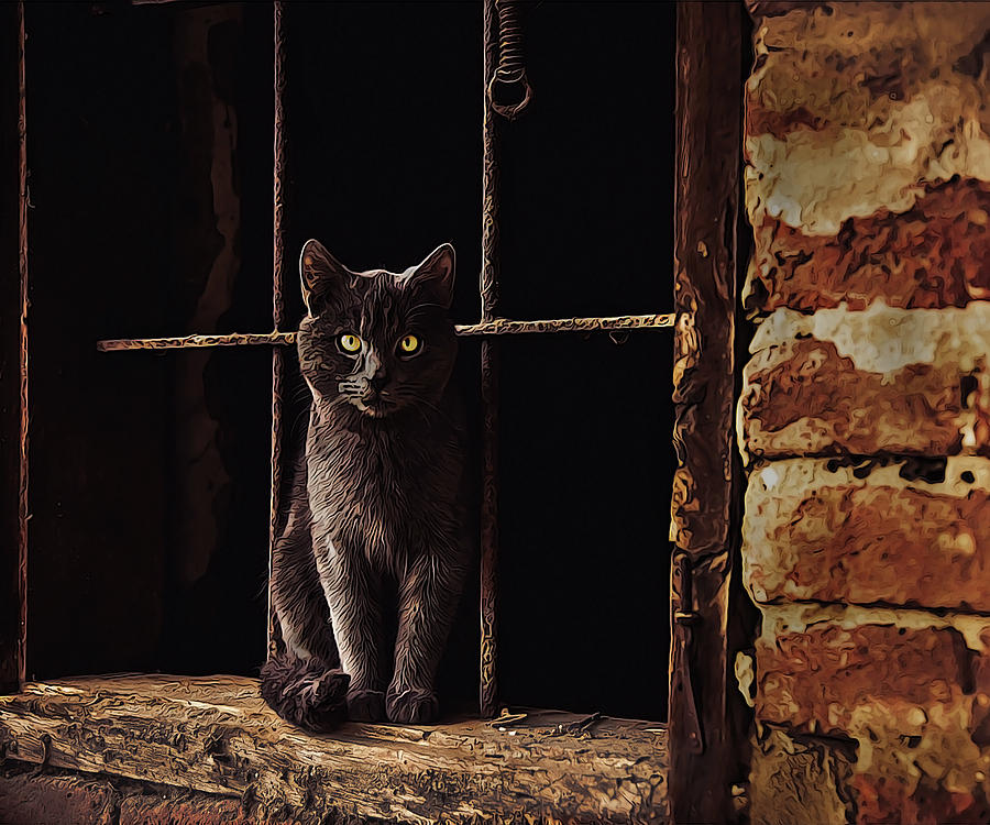 The shop warehouse cat