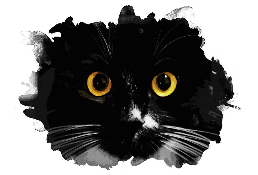 Black Cat, Yellow Eyes Painting by AM FineArtPrints