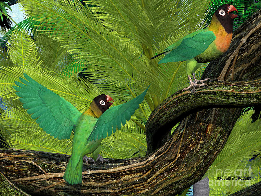 Parrot Painting - Black-cheeked Lovebirds by Corey Ford