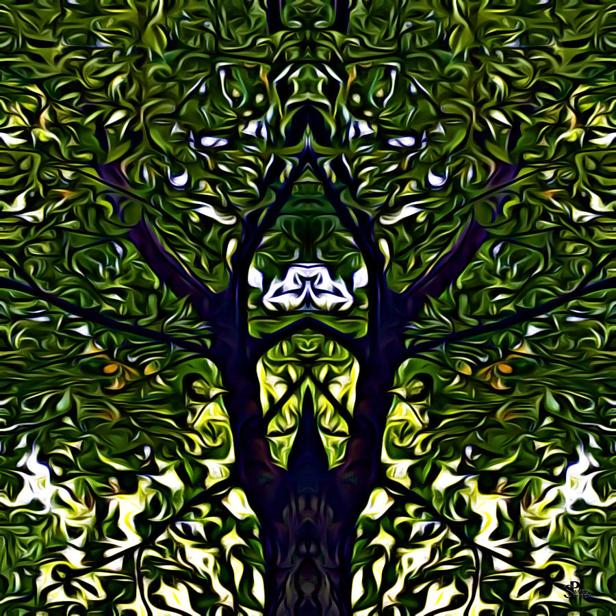 Black Cherry Tree Digital Art - Black Cherry Tree Essence by Pamela Storch