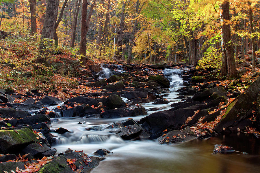 Black Creek in Autumn I 2015 Photograph by Jeff Severson