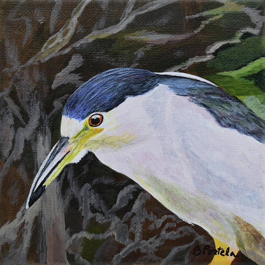 Black-crowned Night Heron Painting