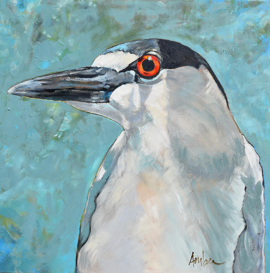 Heron Painting - Black Crowned Night Heron #1 by Amber Foote