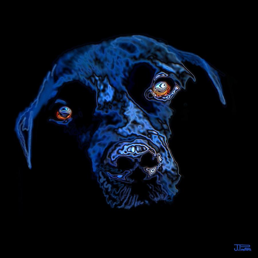 Black Dog Painting by Jann Paxton