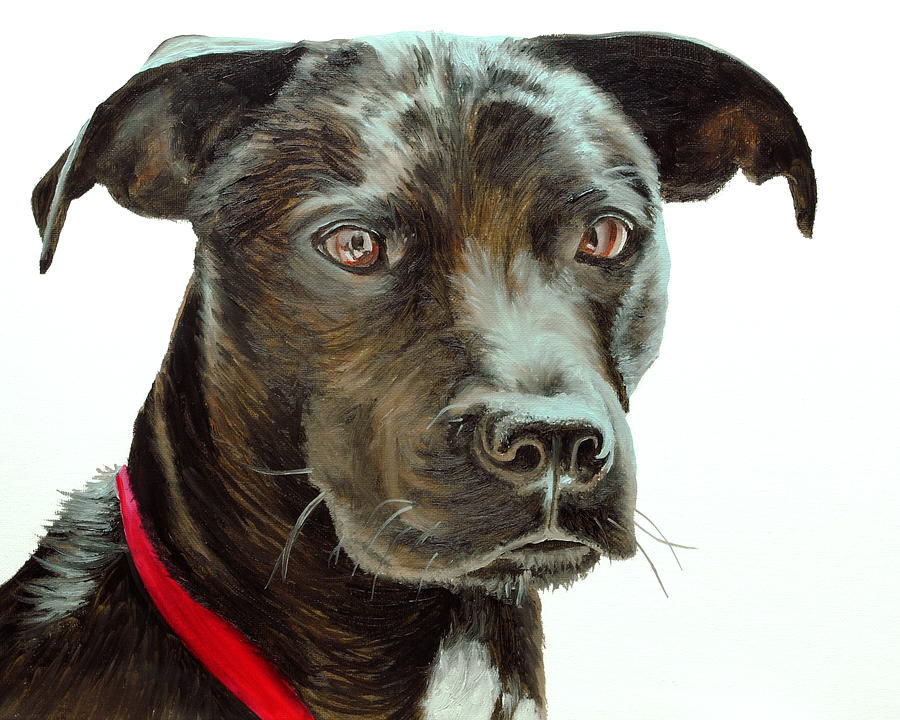 Black Dog Painting by Nolan Clark | Fine Art America