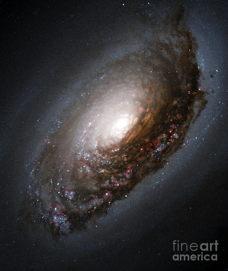 Black Eye Galaxy, M64, Ngc 4826 Photograph by Science Source
