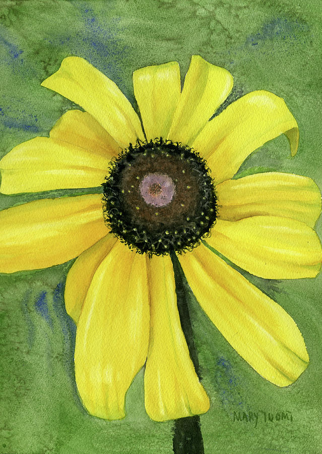 Daisy Painting - Black Eyed Susan by Mary Tuomi