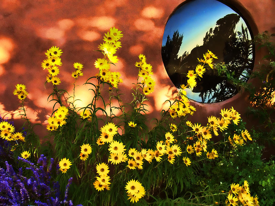 Black-eyed Susans and Adobe Photograph by Paul Cutright