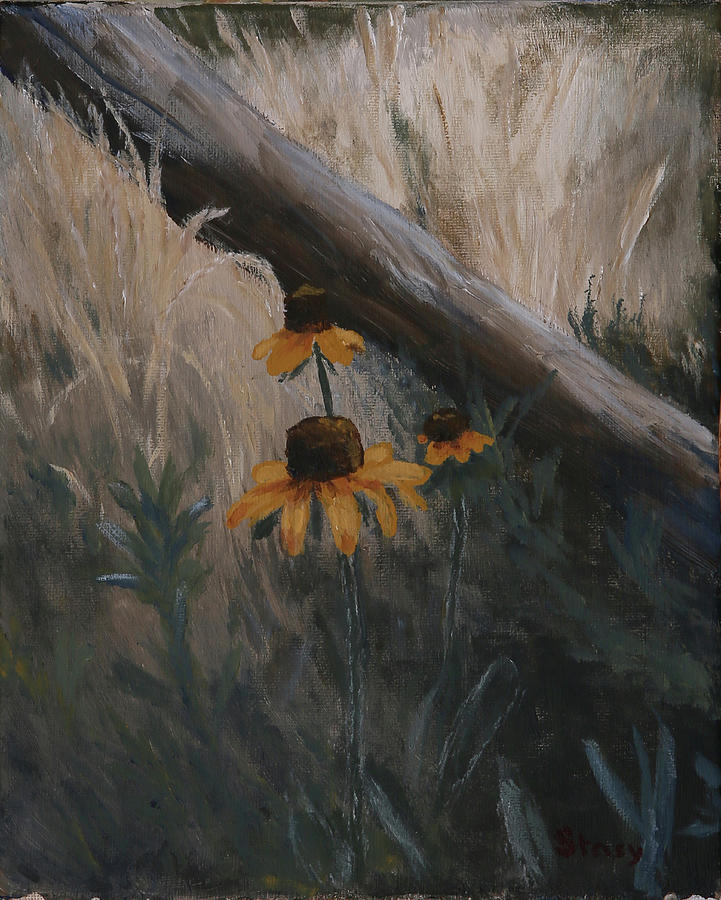 Wildflowers Painting - Black Eyed Susans by Stacy Williams