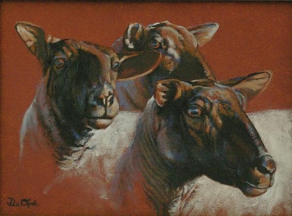 Sheep Painting - Black Faced Sheep by Mia DeLode