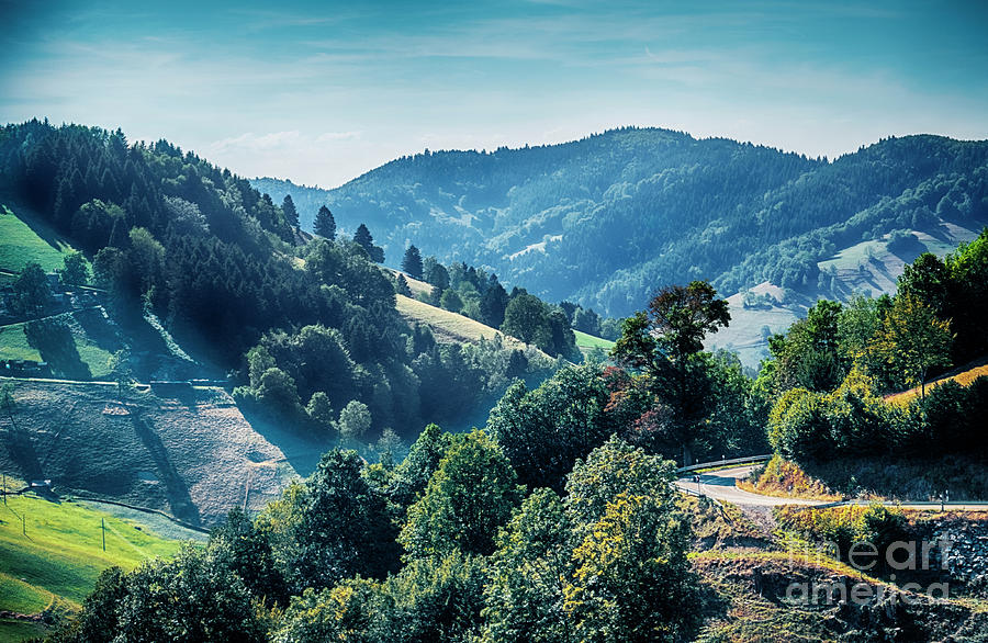 Black Forest aria, Germany Photograph by Ariadna De Raadt Black Forest aria, Germany Photograph by Ariadna De Raadt