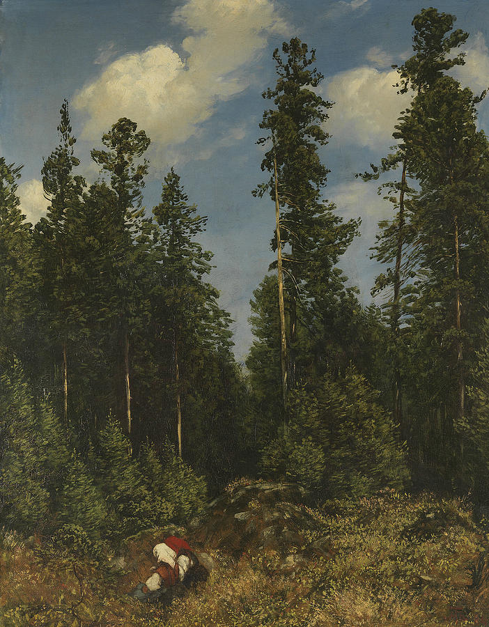Black Forest Firs Painting by Hans Thoma