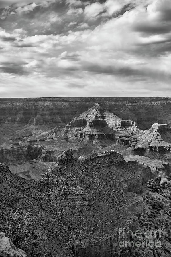 Black Grand Canyon National Park Photograph by Chuck Kuhn