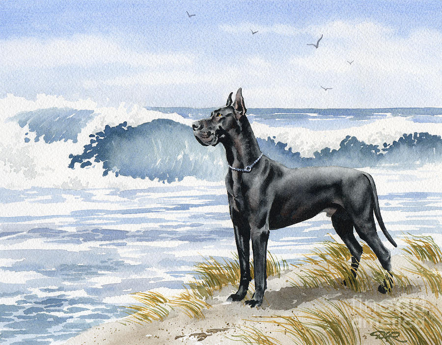 Dog Painting - Black Great Dane At The Beach by David Rogers