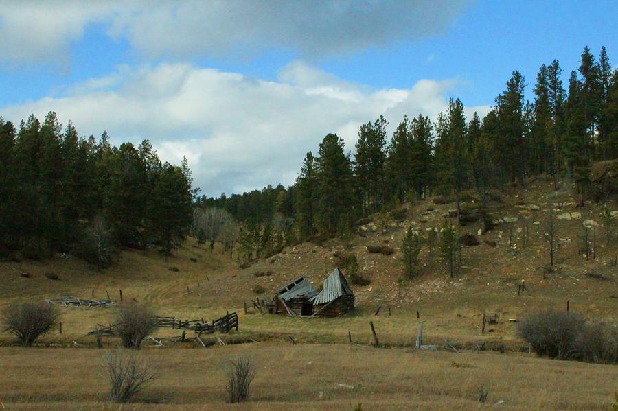 Black Hills Broken Down Cabin Photograph by Christopher J Kirby
