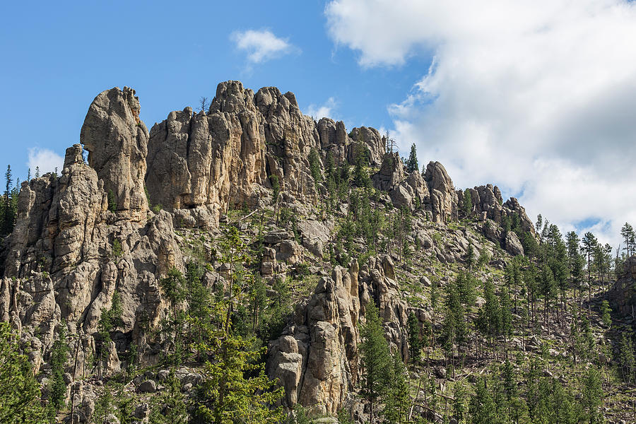 Black Hills Cathedral Spires 3 Photograph by John Brueske - Fine Art ...