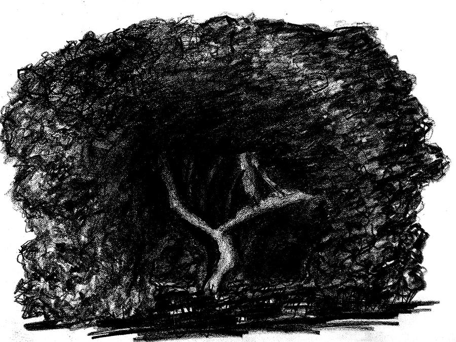 Unique Drawing - Black Hole Tree by Matt Quest