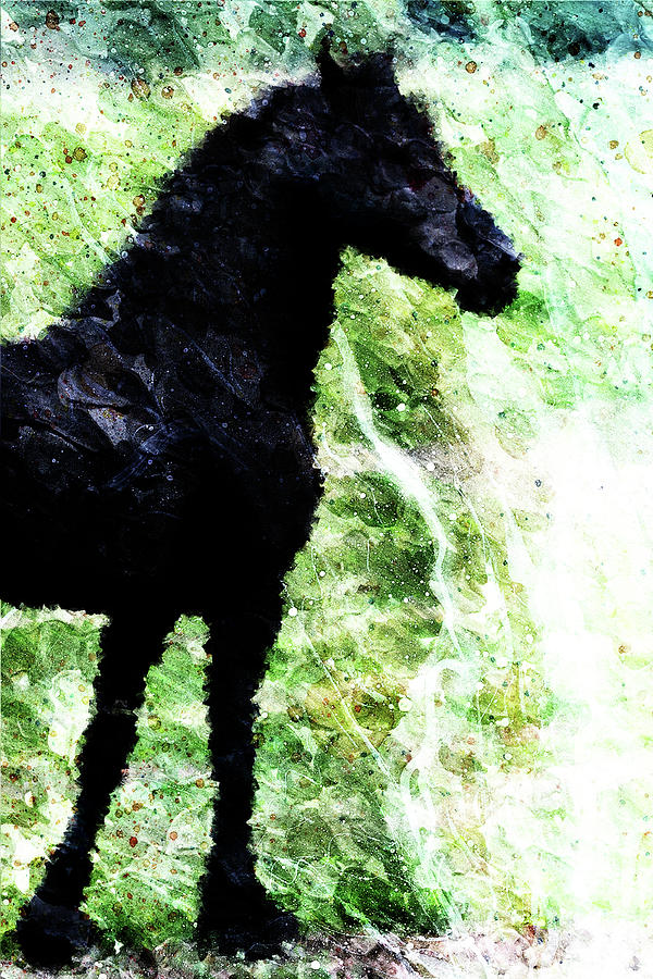 Black Horse Digital Art by Andrea Barbieri