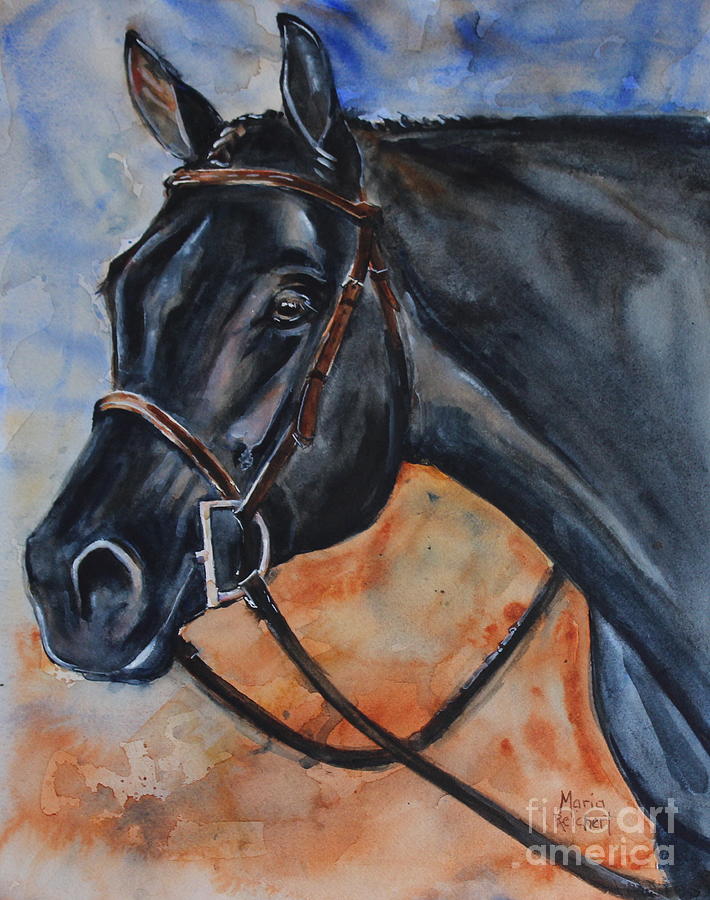 Black Horse Head Painting By Maria Reichert