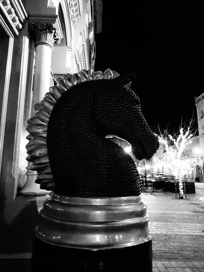 Black Horse Photograph by FineArtRoyal Joshua Mimbs