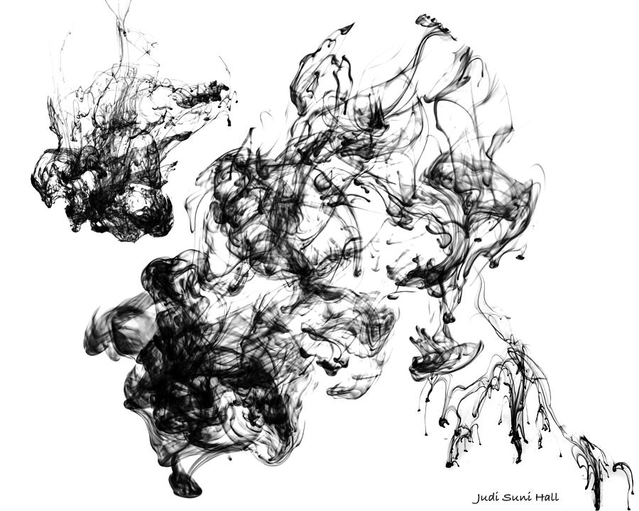 Black Ink Abstract Digital Art by Judi Suni Hall