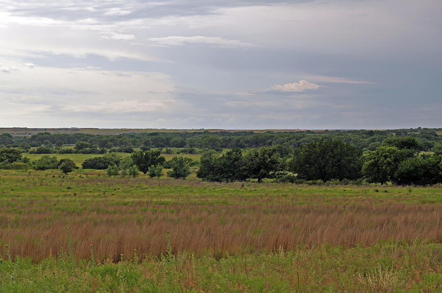 https://images.fineartamerica.com/images/artworkimages/mediumlarge/1/black-kettle-grasslands-wes-hanson.jpg