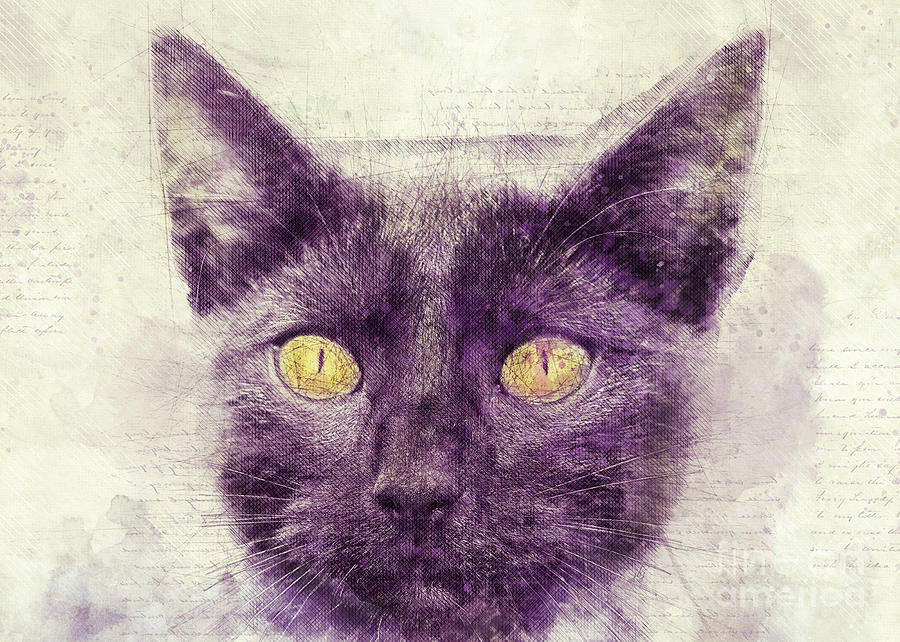 Black kitty Digital Art by Justyna Jaszke JBJart