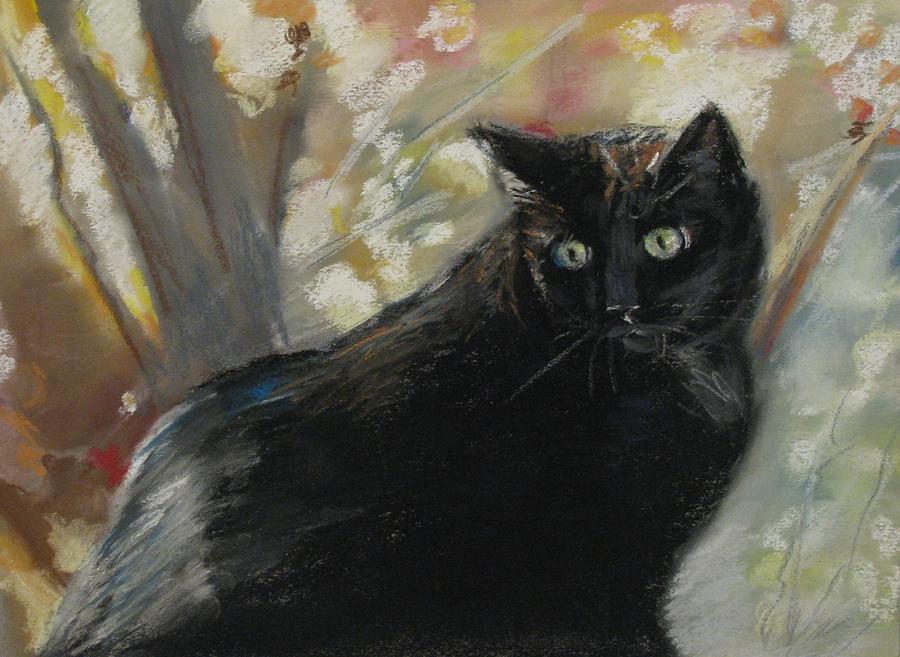 Cat Pastel - Black Kitty by Kimberly Abraham