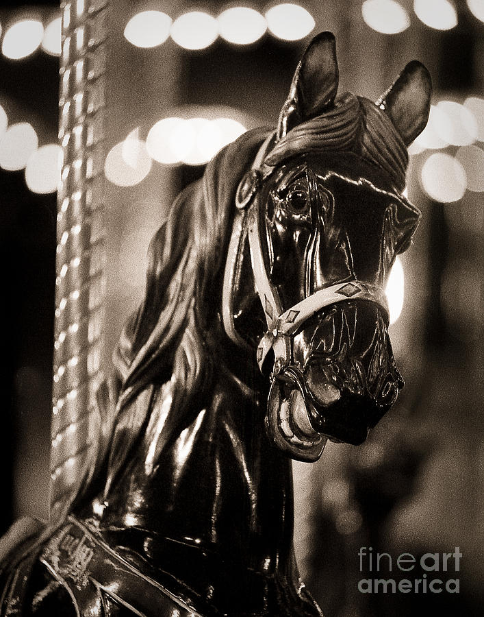 Black Knight of the Carousel Photograph by Sonja Quintero