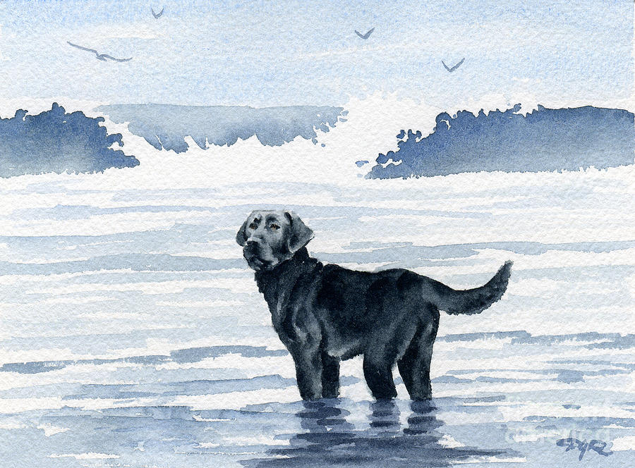 Bird Painting - Black Lab At The Beach by David Rogers