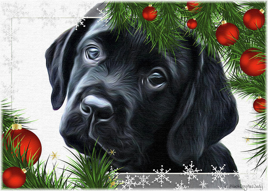 Black Lab Holiday Greetings Photograph by Black Dog Art Judy Burrows ...