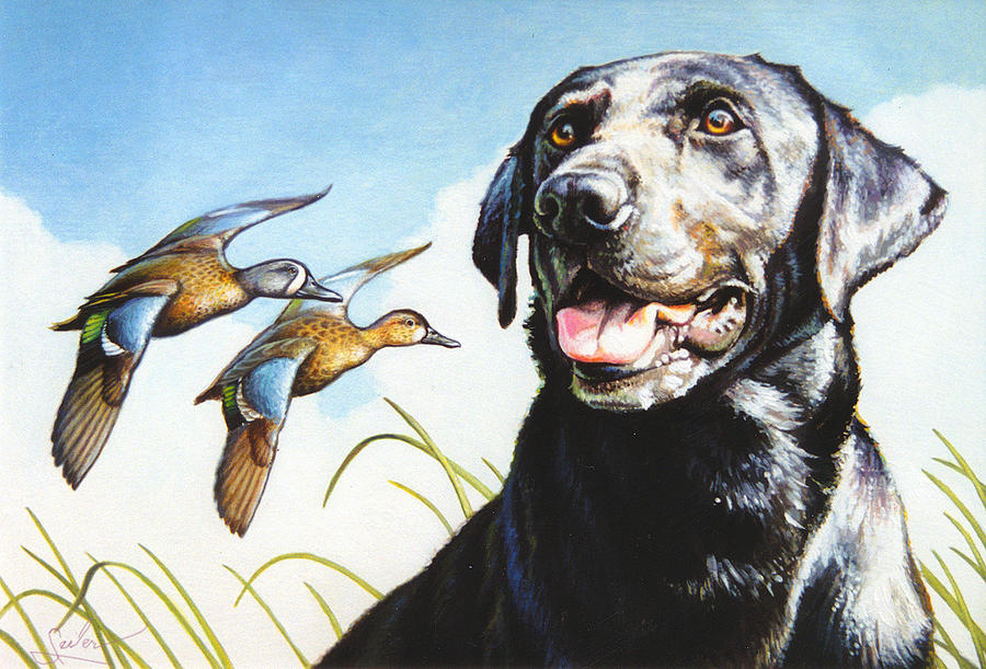 Dog Painting - Black Lab n Blue-Winged Teal by Larry Seiler