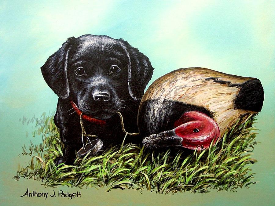 Black Lab Pup Painting by Anthony J Padgett