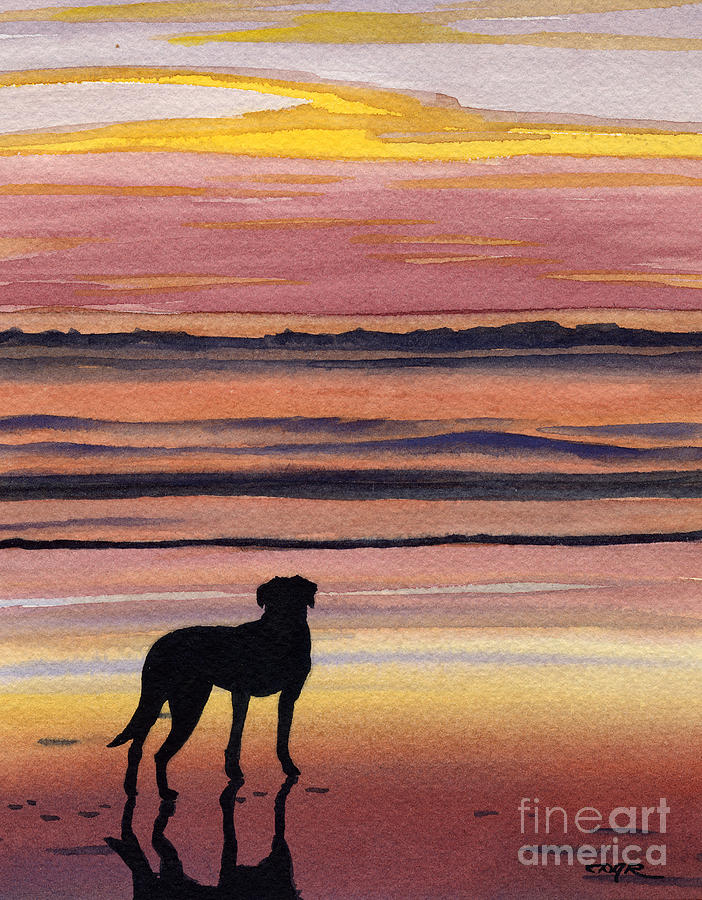 Sunset Painting - Black Lab Sunset by David Rogers