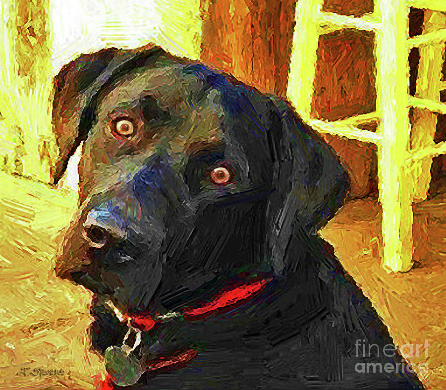 Black Lab Wants to Go For a Walk Painting by Joseph J Stevens