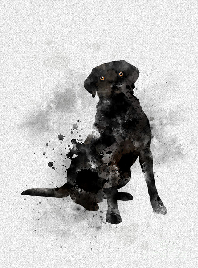 Dog Mixed Media - Black Labrador by My Inspiration