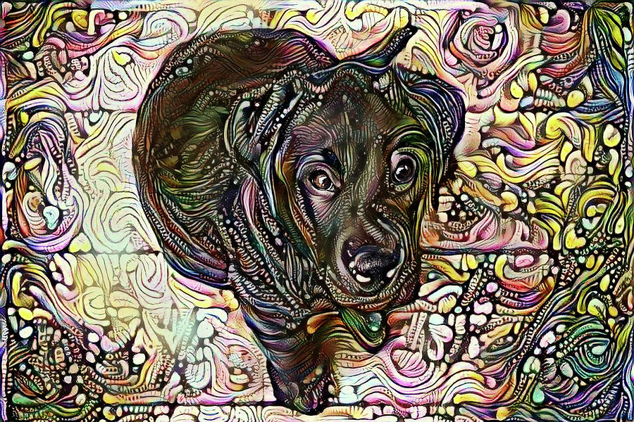 Black Labrador Retriever Pup Digital Art by Peggy Collins